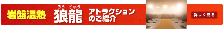 大好評の「ロウリュウ」をお楽しみいただけます！ 詳しく見る